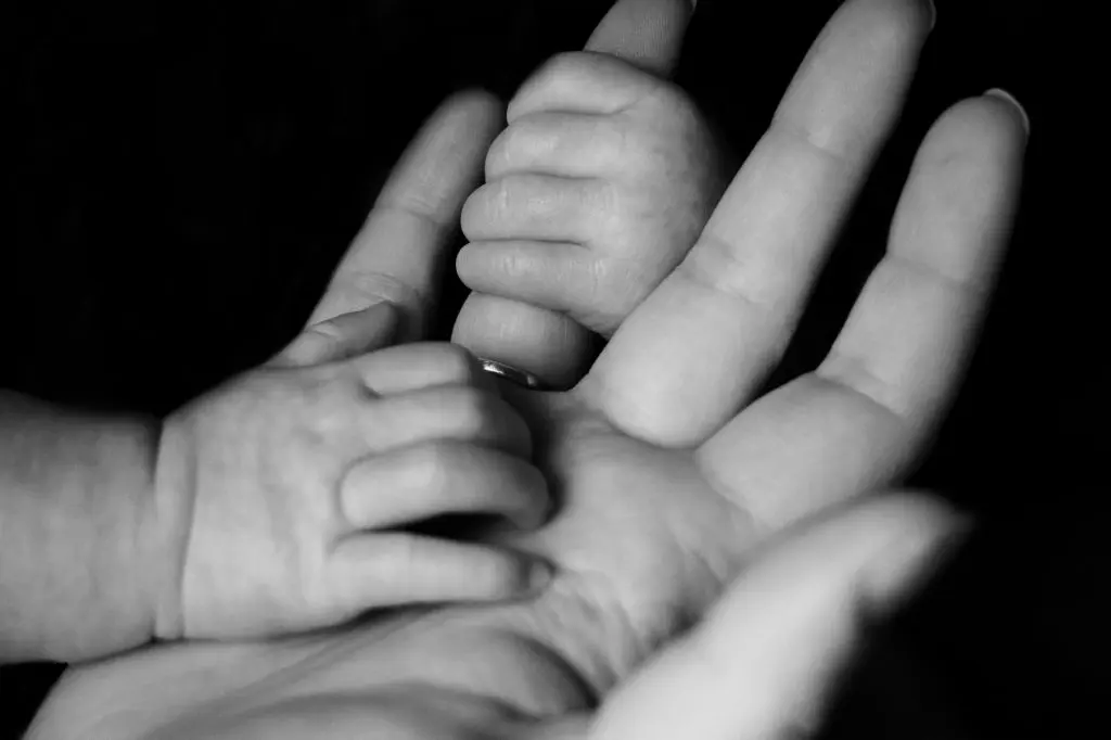 liv bruce M oVPGsWk E unsplash